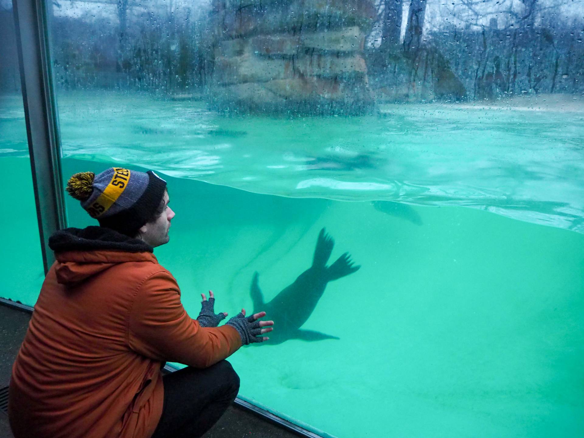 Berlin Zoo - top 5 things to do in Berlin