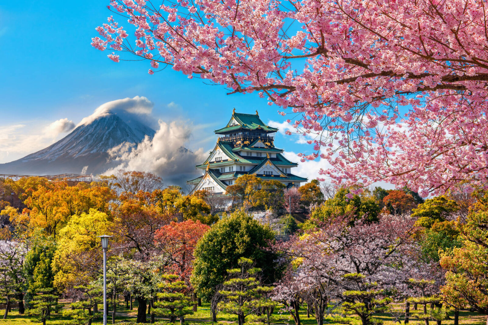 Planning your trip to Japan - Cherry Blossoms
